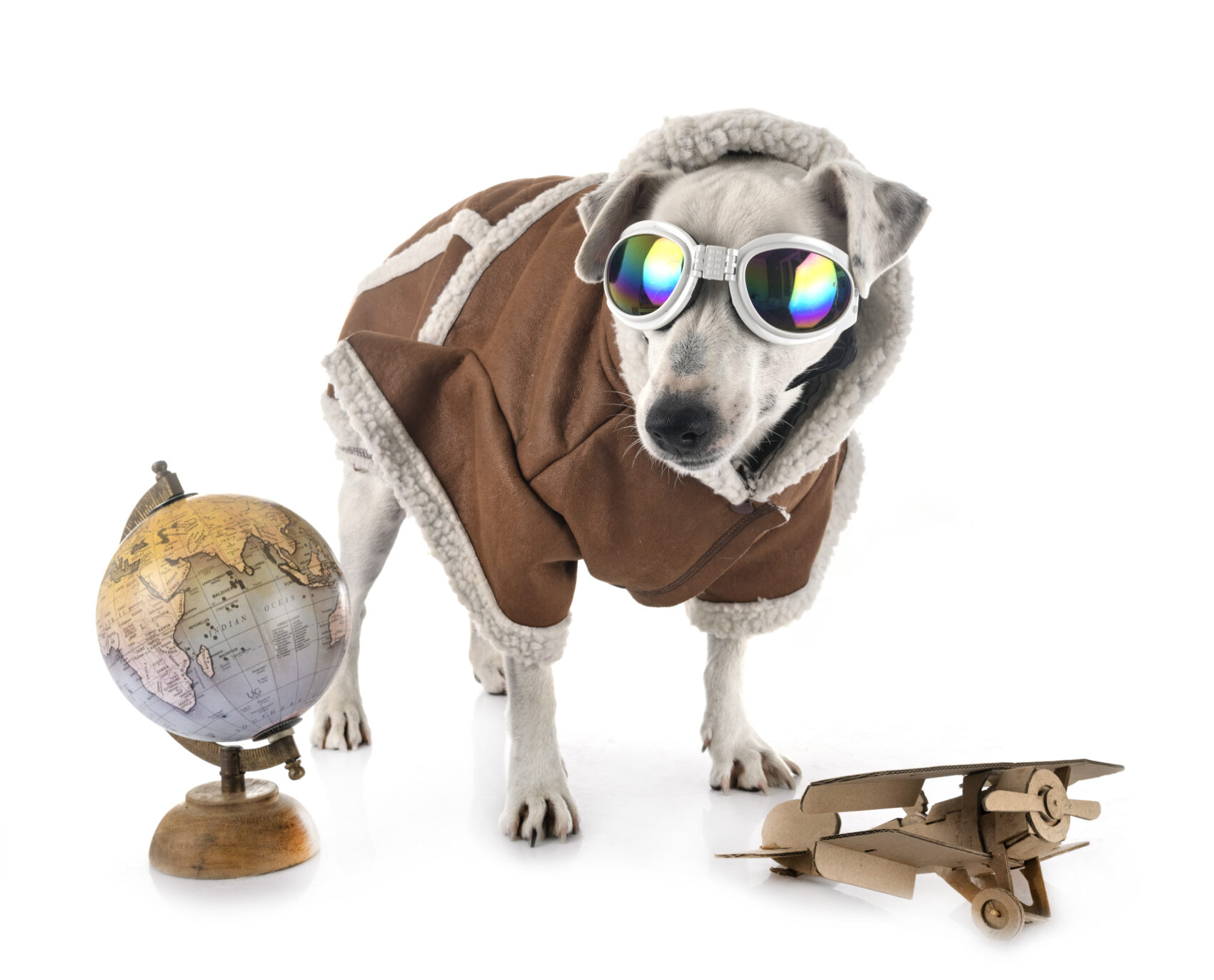 Perro con chaqueta de aviador junto a una avioneta de juguete y una bola del mundo
